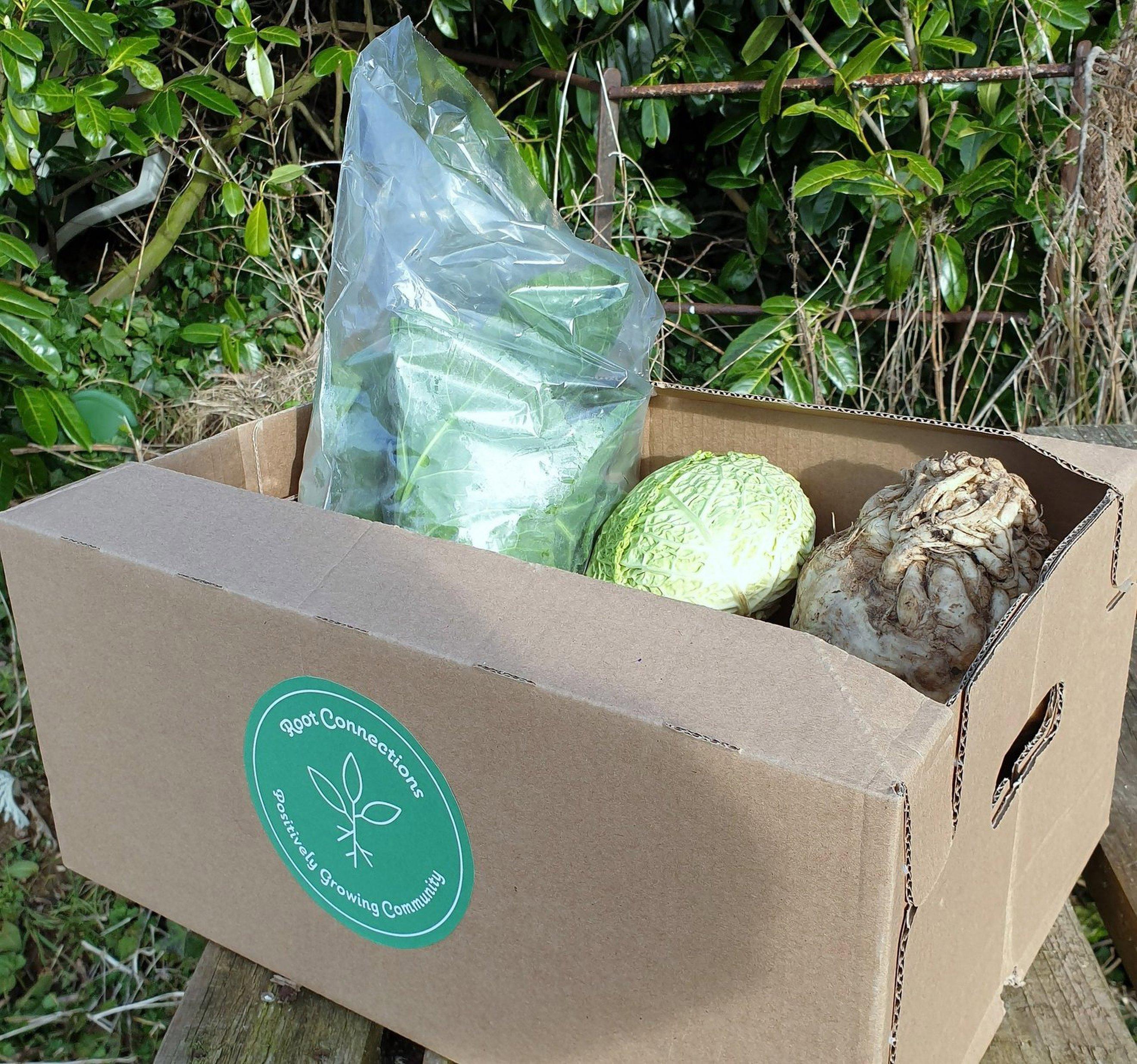 Pay it Forward Veg Box