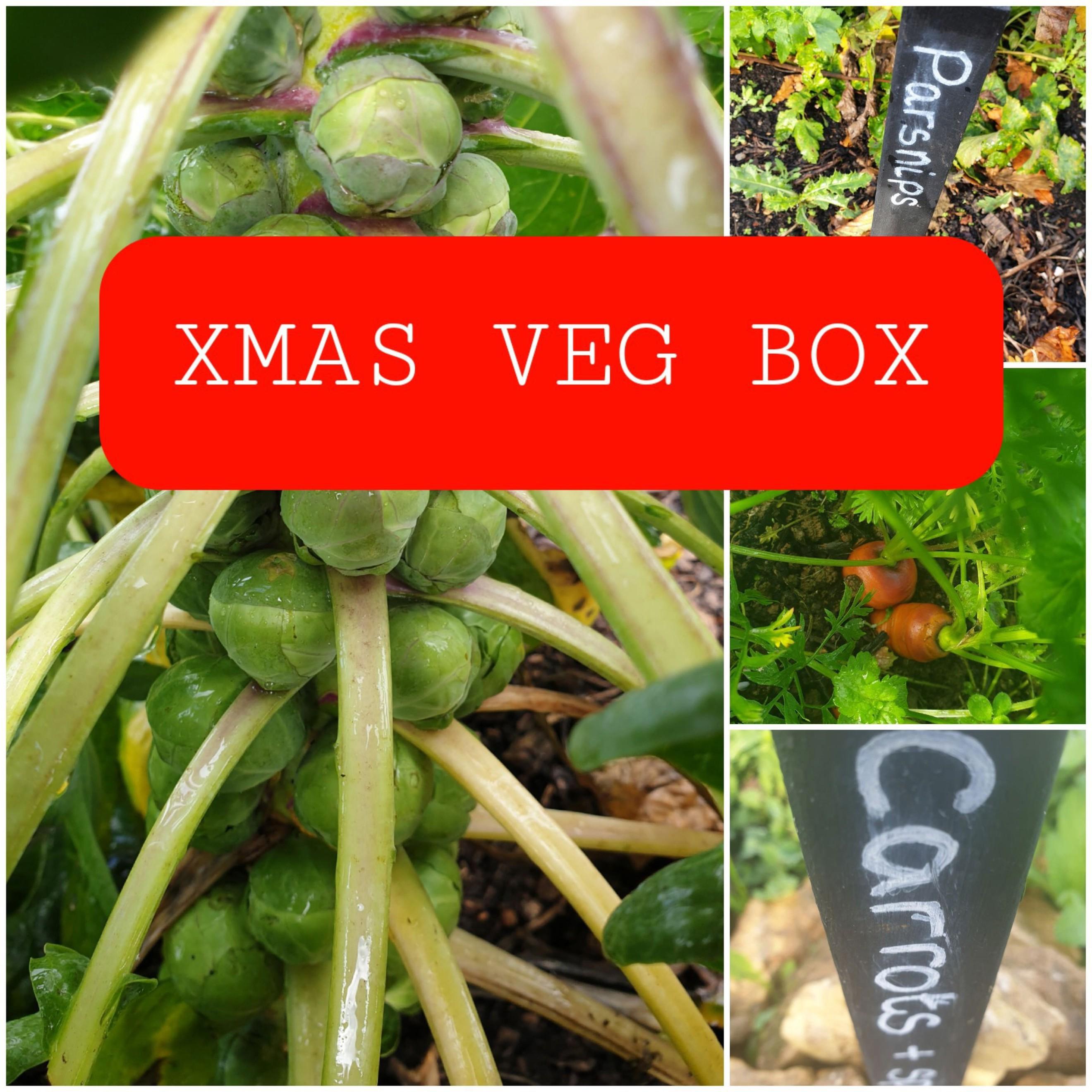 Bumper Christmas Box